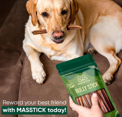 MASSTICK Bully Sticks 4 Inch 8 Oz