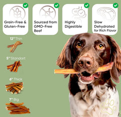MASSTICK Bully Sticks 6 Inch 8 Oz JUMBO