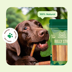 MASSTICK Bully Sticks 12 Inch 8 Oz